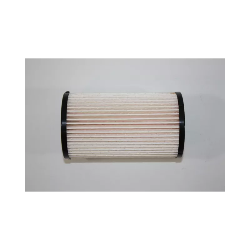 Filtre à carburant AUTOMEGA 180010820