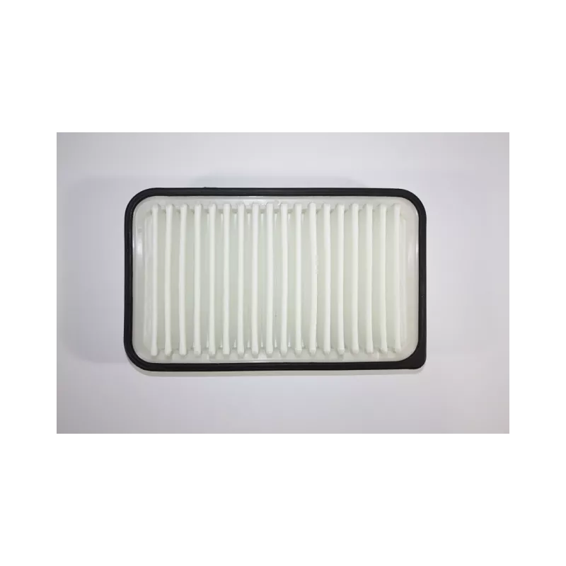 Filtre à air AUTOMEGA 180021420