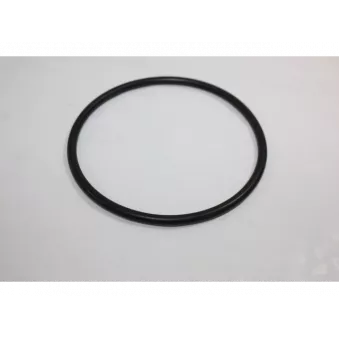 Joint d'étanchéité, pompe à eau AUTOMEGA 190013620