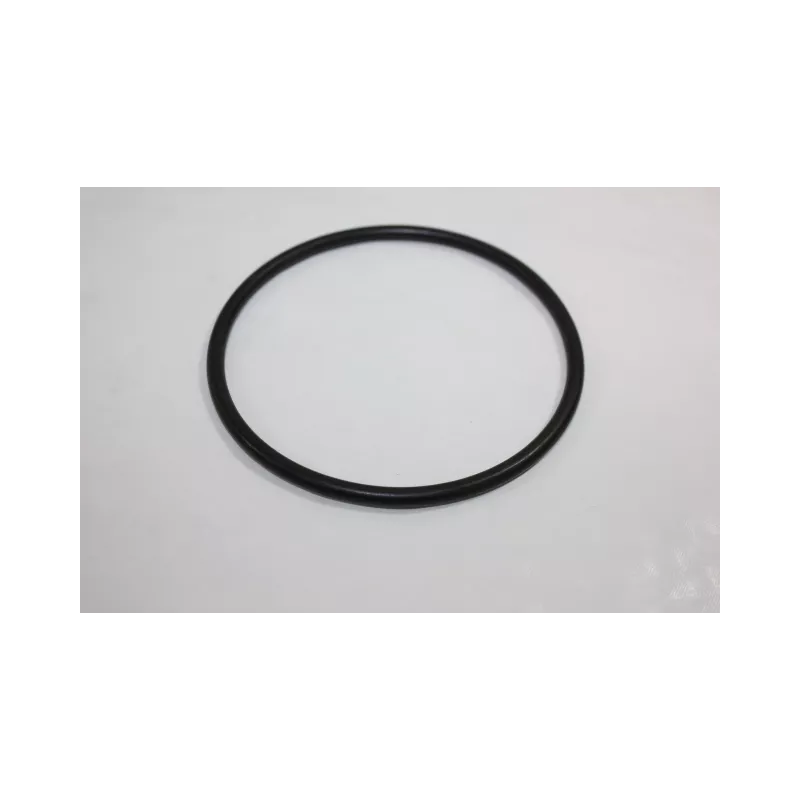 Joint d'étanchéité, pompe à eau AUTOMEGA 190013620