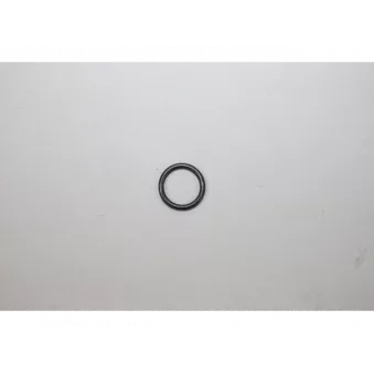 Bague d'étanchéité, injecteur AUTOMEGA 190019620