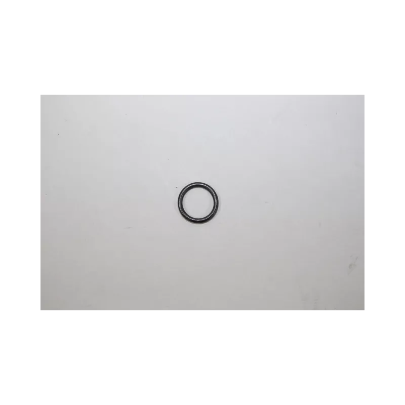 Bague d'étanchéité, injecteur AUTOMEGA 190019620