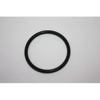 Joint d'étanchéité, thermostat AUTOMEGA 190027220