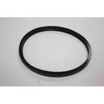 Joint d'étanchéité, thermostat AUTOMEGA 190041320