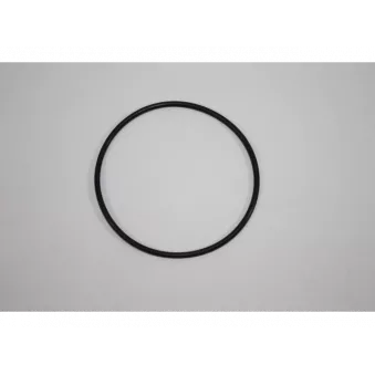 Joint d'étanchéité, pompe à eau AUTOMEGA 190055120