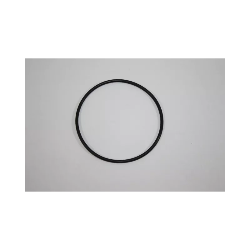 Joint d'étanchéité, pompe à eau AUTOMEGA 190055120