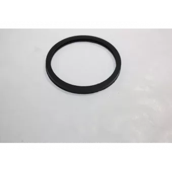 Joint d'étanchéité, thermostat AUTOMEGA 190055520