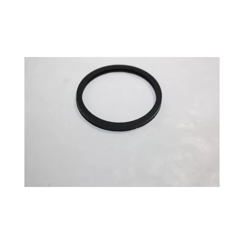 Joint d'étanchéité, thermostat AUTOMEGA 190055520