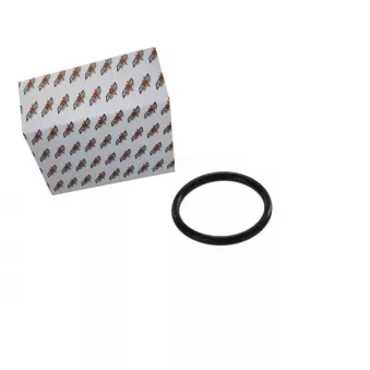 Joint, bouchon de tube de remplissage d'huile AUTOMEGA 190064420