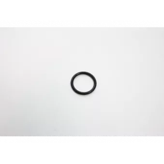 Bague d'étanchéité, compartiment du gicleur AUTOMEGA 190065720
