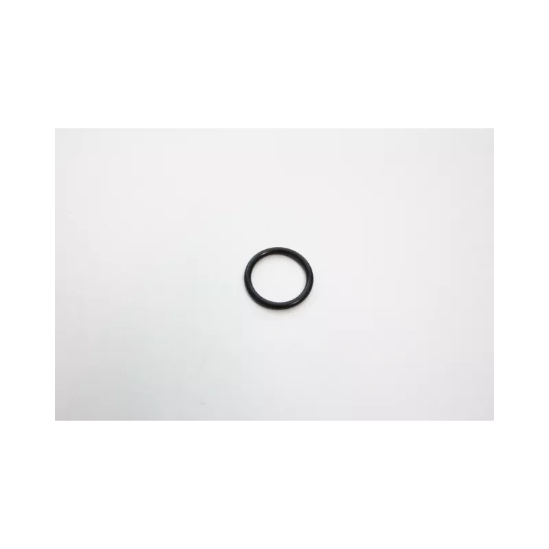 Bague d'étanchéité, compartiment du gicleur AUTOMEGA 190065720