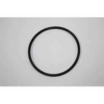 Joint d'étanchéité, thermostat AUTOMEGA 190069620