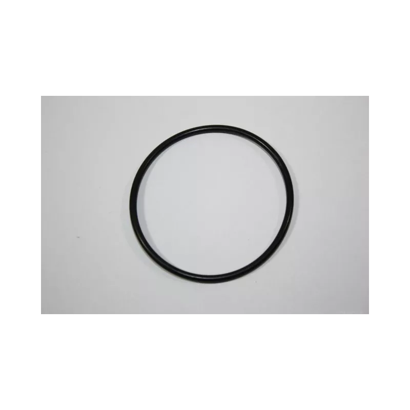 Joint d'étanchéité, thermostat AUTOMEGA 190069620