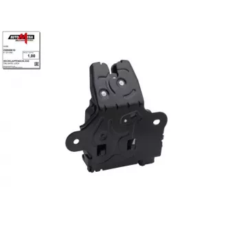 Serrure de hayon AUTOMEGA 250900610