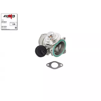 Vanne EGR AUTOMEGA 250720310