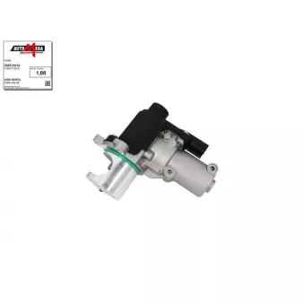 Vanne EGR AUTOMEGA 250721010