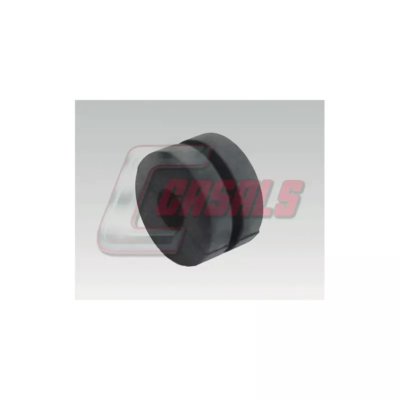 Suspension, radiateur CASALS 6273