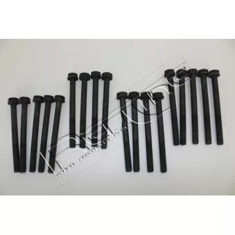 Jeu de boulons de culasse de cylindre RED-LINE 00IZ001