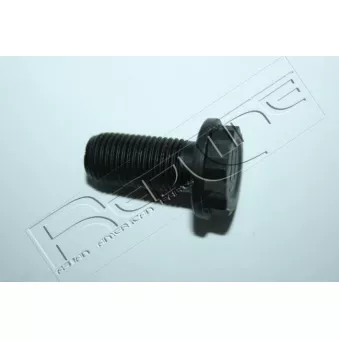 Vis au support du pignon pour volant moteur RED-LINE 00KI005