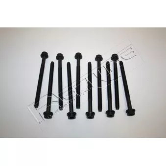 Jeu de boulons de culasse de cylindre RED-LINE 00MZ003