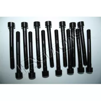 Jeu de boulons de culasse de cylindre RED-LINE 00NI004
