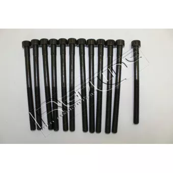 Jeu de boulons de culasse de cylindre RED-LINE 00SS007