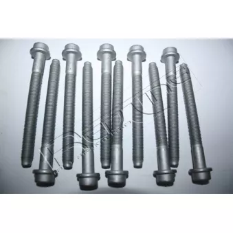 Jeu de boulons de culasse de cylindre RED-LINE 00SZ008