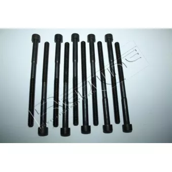 Jeu de boulons de culasse de cylindre RED-LINE 00TO008