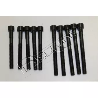 Jeu de boulons de culasse de cylindre RED-LINE 00TO025