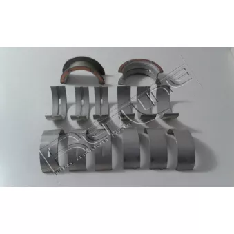 Kit de coussinet de vilebrequin RED-LINE