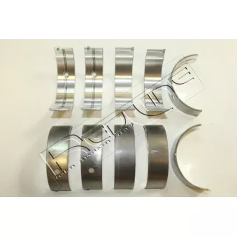 Kit de coussinet de vilebrequin RED-LINE 02NI048