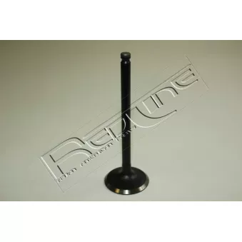 Soupape d'admission RED-LINE 15HY002