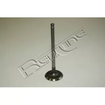 Soupape d'admission RED-LINE 15HY022
