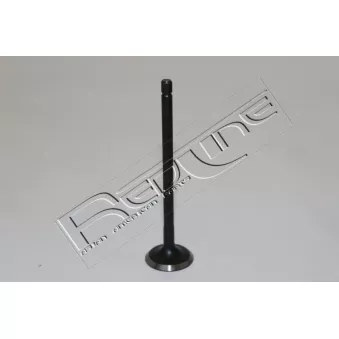 Soupape d'admission RED-LINE 15HY037