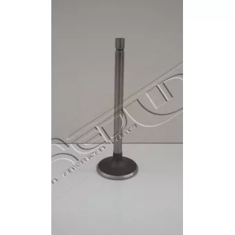 Soupape d'admission RED-LINE 15IZ002