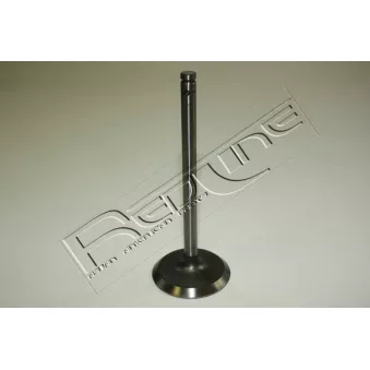 Soupape d'admission RED-LINE 15JE000