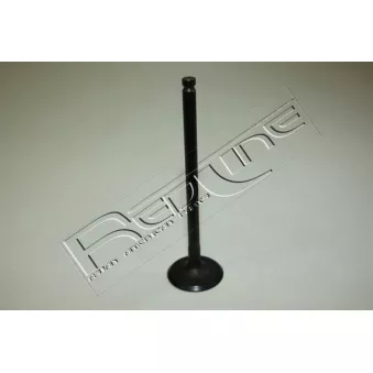 Soupape d'admission RED-LINE