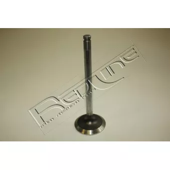 Soupape d'admission RED-LINE 15NI034