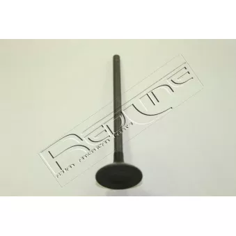 Soupape d'émission RED-LINE 15NI043