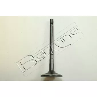 Soupape d'admission RED-LINE 15RV010