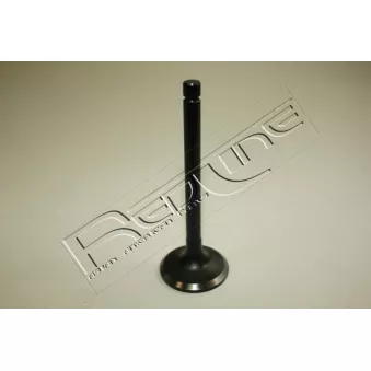 Soupape d'admission RED-LINE 15TO019