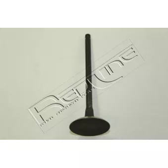 Soupape d'admission RED-LINE 15TO031