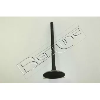 Soupape d'admission RED-LINE 15TO033