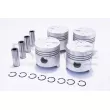 Piston RED-LINE 20DA005 - Visuel 1