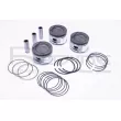 Piston RED-LINE 20DA016 - Visuel 1