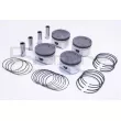 Piston RED-LINE 20DA018 - Visuel 1