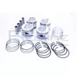 Piston RED-LINE 20DA025 - Visuel 1