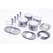 Piston RED-LINE 20DW008 - Visuel 1