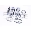 Piston RED-LINE 20HO009 - Visuel 1