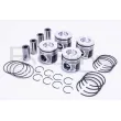 Piston RED-LINE 20HY039 - Visuel 1
